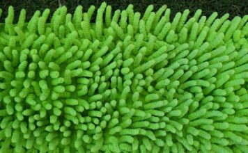 Jaki płyn do mopa parowego? Jaki płyn do mopa parowego?