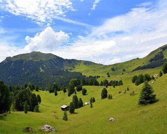 Czy można mieszać kleje do płytek?
