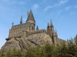 Jaka miotłę miał Harry Potter?