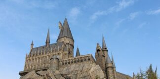 Jaka miotłę miał Harry Potter?